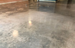 Concrete Polished