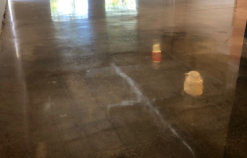 Polished Concrete
