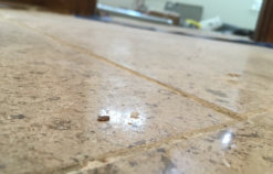 Concrete Breaking Off Due To Rebar Corroding